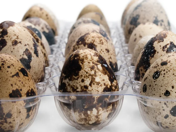 Bıldırcın yumurta yakın çekim.