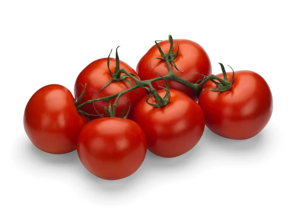 푸른 가지 위에 있는 빨간 토마토 — 스톡 사진