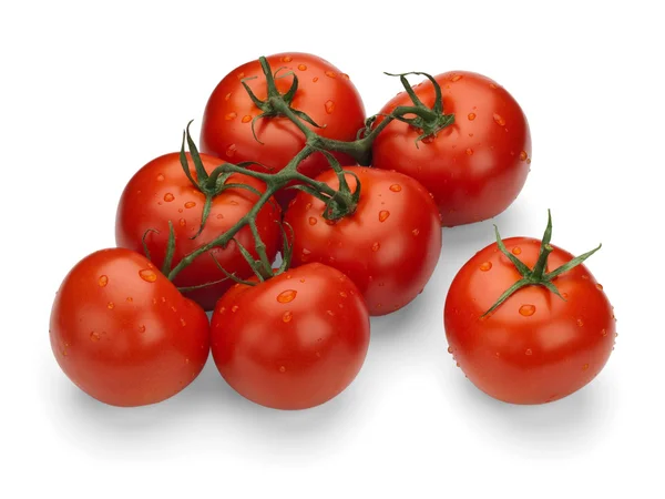 푸른 가지 위에 있는 빨간 토마토 — 스톡 사진