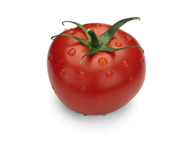 Rijp, rode tomaten. — Stockfoto