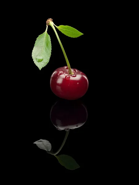 Cherry berry on a green small stalk. — Stock Photo, Image