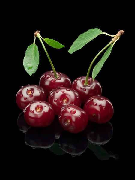 Sieben Beeren einer Kirsche auf einem grünen Stiel — Stockfoto