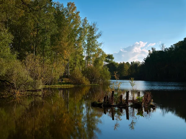 Stary park jesienią — Zdjęcie stockowe