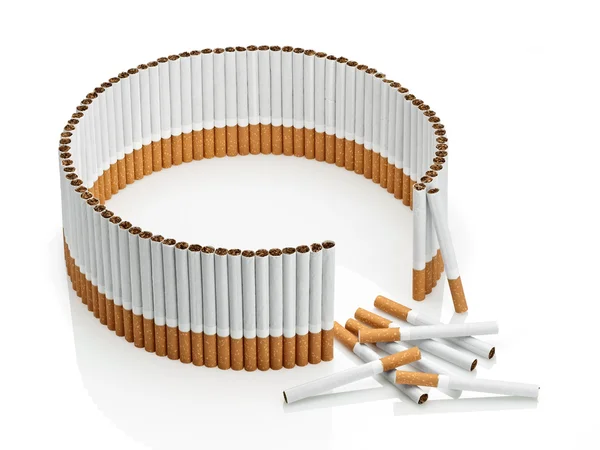 Not completed tobacco fence — Stock Photo, Image