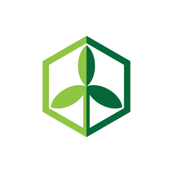 Sześciokąt Lub Cube Potrójnym Wektorem Projektu Logo Liści — Wektor stockowy