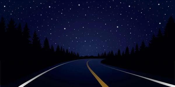 Geraden Weg im Wald Roadtrip bei Nacht — Stockvektor