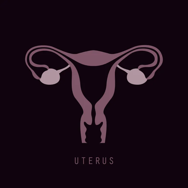 Weibliches Fortpflanzungssystem Frauen Uterus Eierstock Symbol — Stockvektor