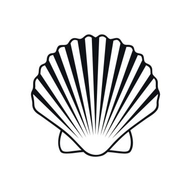 sea shell outline isolated on white background vector