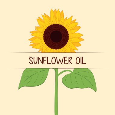 Ayçiçeği yağı büyük sarı damla beyaz vektör illüstrasyon EPS10 izole