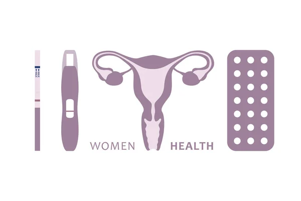 Women Health Female Reproductive System Info Graphic Vector Illustration Eps10 — Vettoriale Stock
