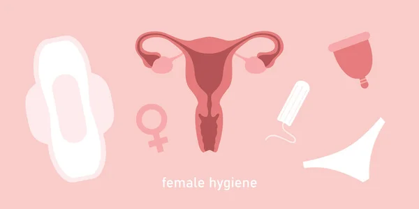 Female Hygiene Products Women Uterus Sanitary Napkin Tampon Vector Illustration — Vetor de Stock
