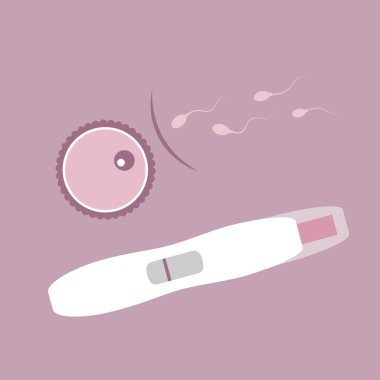 negative pregnancy test contraception ovum and sperm vector illustration EPS10
