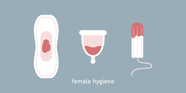 Female Hygiene Products Women Uterus Sanitary Napkin Tampon Vector Illustration — Vetor de Stock