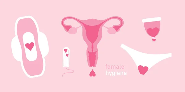 Set Female Hygiene Products Menstruation Women Uterus Sanitary Tampon Vector — Stockvektor
