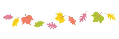 colorful autumn leaves in the wind on white background vector illustration EPS10