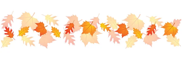 Set Herfstbladeren Wind Witte Achtergrond Vectorillustratie Eps10 — Stockvector