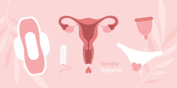 Female Hygiene Products Women Uterus Sanitary Napkin Tampon Vector Illustration — Image vectorielle