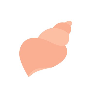 deniz kabuğu beyaz arkaplan vektör illüstrasyonunda izole EPS10