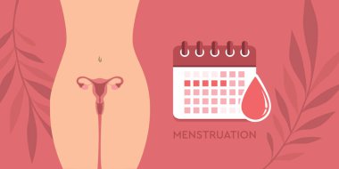 female body menstruation hygiene calendar woman vector illustration EPS10