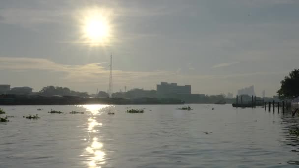 Chao Phraya River Early Morning Sunrise Water Transportation — Stock Video
