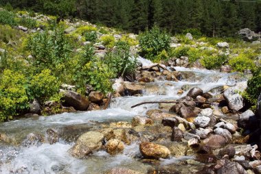 Kafkas Dağları, nehir