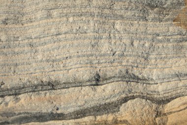 Doğal dokular, soyut arkaplan. Yüksek kalite fotoğraf. Doğal toprak renklerinde ve tonlarında organik madde.