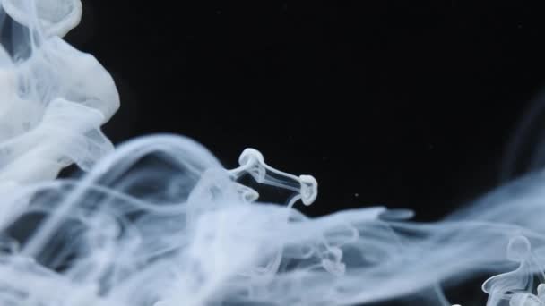 Tinta blanca extendiéndose en el agua sobre un fondo negro. Nube acrílica de color fondo de humo abstracto. Movimiento fluido brillo. — Vídeo de stock
