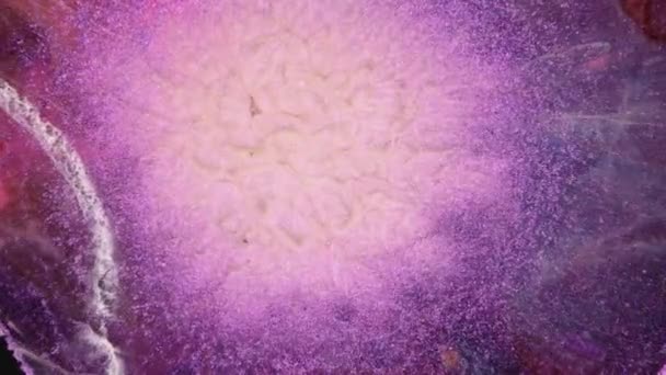 Glitter Movimento Líquido Uma Sobreposição Tinta Líquida Púrpura Espumante Espaço — Vídeo de Stock