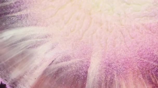 Glitter Movimento Líquido Uma Sobreposição Tinta Líquida Branca Espumante Espaço — Vídeo de Stock