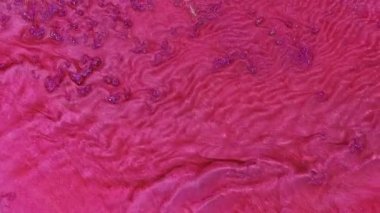 Soyut sıvı sanat arka planı, metalik parlak pembe su, büyülü parıltı nehri ya da şarap renkli fantezi okyanus dalgaları. Parlak ve yanardöner inci parçacıklarının hareketinin makro videosu
