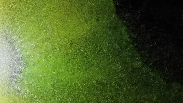 抽象的な液体の芸術的背景 明るい緑色の水の輝く光沢のある波 石灰緑のインク塗料の遅い流れの中で光沢のある虹色の銀粒子の動きのマクロビデオ — ストック動画