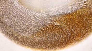 Grunge arka planı erimiş altın, bronz, bakır. Makro video parıltılı sıvı hareketi. Işıl ışıl sarı mürekkep boyası. Metalik su, fantastik okyanus dalgaları, eriyen güneş. Güzel sıvı sanat. Yüksek