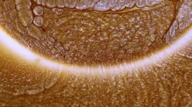 Grunge arka planı erimiş altın, bronz, bakır. Makro video parıltılı sıvı hareketi. Işıl ışıl sarı mürekkep boyası. Metalik su, fantastik okyanus dalgaları, eriyen güneş. Güzel sıvı sanat. Yüksek