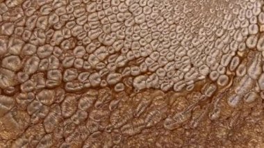 Grunge arka planı erimiş altın, bronz, bakır. Makro video parıltılı sıvı hareketi. Işıl ışıl sarı mürekkep boyası. Metalik su, fantastik okyanus dalgaları. Güzel sıvı sanat. Yüksek kalite