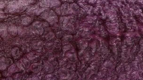 油墨研磨背景融化玫瑰金 宏观视频中的闪光和闪光的珍珠母质颗粒的运动 美丽的液体艺术 金属光泽水 粉色熔岩 高质量的 — 图库视频影像