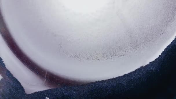 Design Artistique Abstrait Encre Alcool Blanc Une Macro Vidéo Réaction — Video