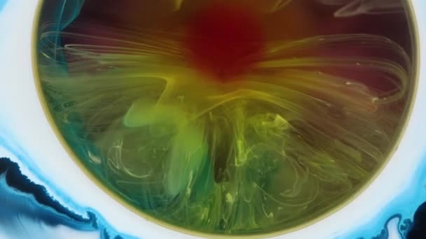 알코올 설계를 철저히 페트리 접시에서 페인트가 화학적으로 반응하는 페트리 접시에서 — 비디오