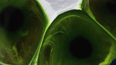 Sıvı video sanatı, yeşil ve beyaz alkol mürekkebi ile güzel bir soyut sanat arkaplanı yaratır. Makro boya hareketi, uçuş, büyüme ve genişleme videoları bir petri kabında. Meditasyona dal
