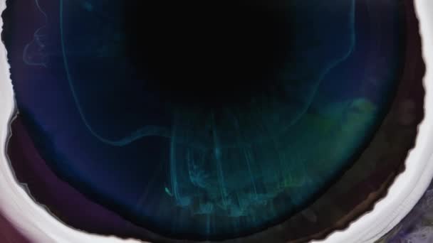 要旨白と青のアルコールインクでグランジの背景デザイン ペトリ皿の塗料の化学反応のマクロビデオ 膨張する宇宙の美しい液体空間ビデオアート 適切な — ストック動画