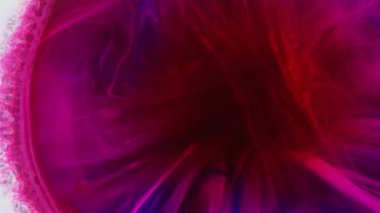 Alkol mürekkebi pembe ve beyaz olarak soyut sanatsal tasarım. Boşluğu pembeyle dolduruyorum. Petri kabındaki boyanın kimyasal reaksiyonunun makro bir videosu uçma illüzyonu yaratıyor. sıvı