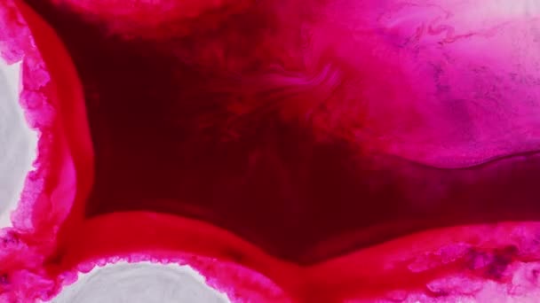 Diseño Fondo Grunge Abstracto Con Tinta Rosa Vibrante Vídeo Macro — Vídeo de stock