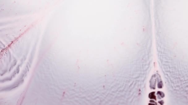 Абстрактный Жидкий Художественный Фон Белая Краска Заполняет Темно Фиолетовое Пространство — стоковое видео