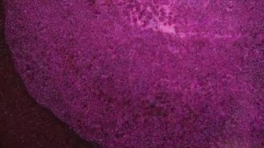 Soyut sıvı sanatsal arka plan, parlak çizgiler. Pembe rengin içinde parıldayan parıltı. Yanardöner inci parçacıklarının fuşya mürekkepli akışkan hareketinin makro videosu. Yüksek kaliteli video