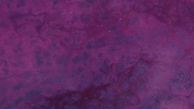 Soyut sıvı sanat arkaplanı sakin. Pembe arka planda parıldayan parıltılar. Parlak toz parçacıklarının uçuşu. Dönen siyah boya bulutları. Video döngüleme ve web tasarımı için harikadır