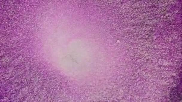 抽象的液体艺术背景 闪闪发光的条纹 在流动的粉红油漆中闪烁着光芒 白光的生长 彩虹珍珠颗粒流体运动的宏观影像 — 图库视频影像