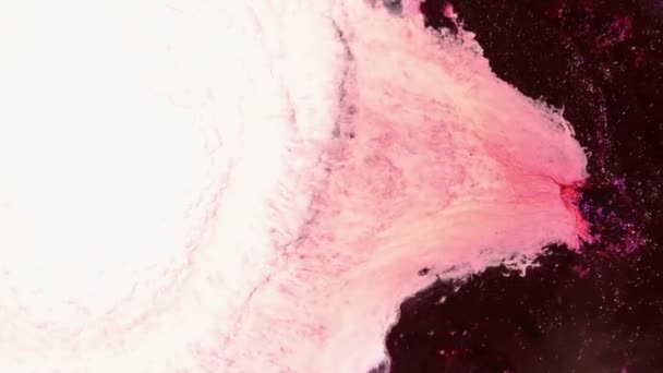 Heldere Abstracte Vloeiende Kunstachtergrond Intense Verfmorsen Fuchsia Roze Wit Rood — Stockvideo