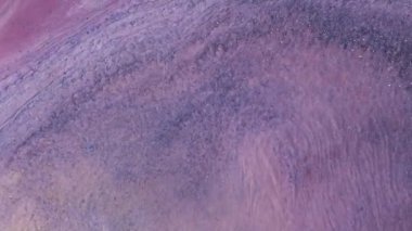 Parlak soyut grunge arka plan çok renkli toz hareketine benziyor. Mor, pembe ve mavi boyalardan oluşan parlak bir renk akışı. Akışkan sanat çizim videosu, soyut doku ile