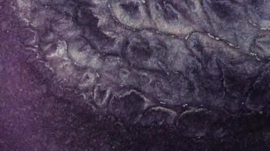 Parlak soyut grunge arka plan çok renkli toz hareketine benziyor. Mor, pembe ve mavi boyalardan oluşan parlak bir renk akışı. Akışkan sanat çizim videosu, soyut doku ile