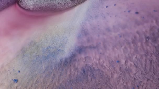多色の塵の動きに似た輝く抽象的なグランジの背景 ピンク 青インクの塗料の明るい色の流れのオーバーフロー 流体芸術の描画ビデオ 抽象的なテクスチャと — ストック動画