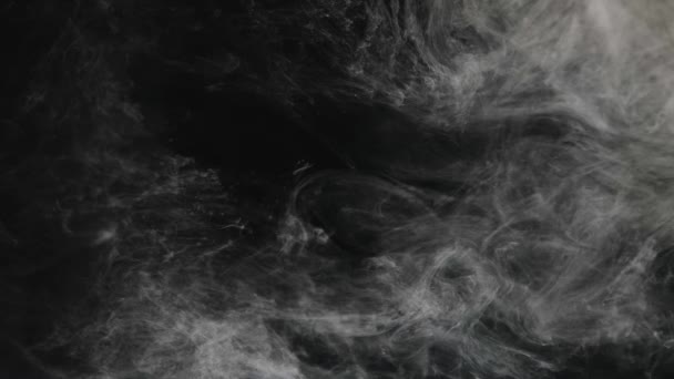 白墨水和丙烯酸滴在黑水里 高质量的4K镜头 水墨云水中的一层丝状墨水 在黑色的背景上隔绝 动作画 — 图库视频影像